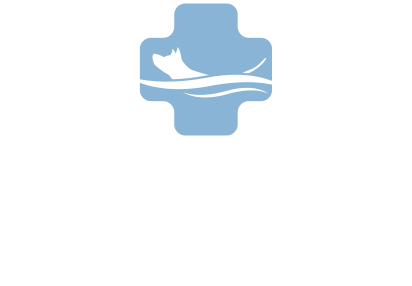 アイ 動物医療センター